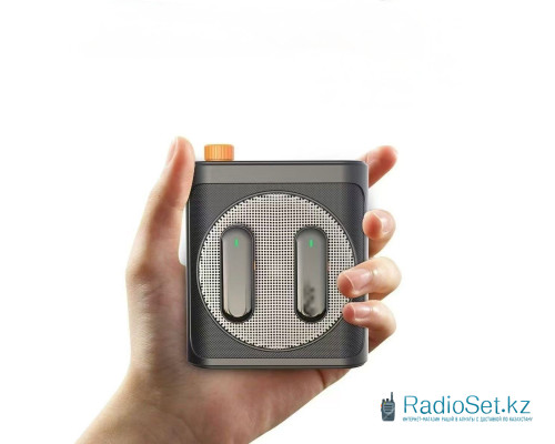 Беспроводная система громкоговоритель 25H